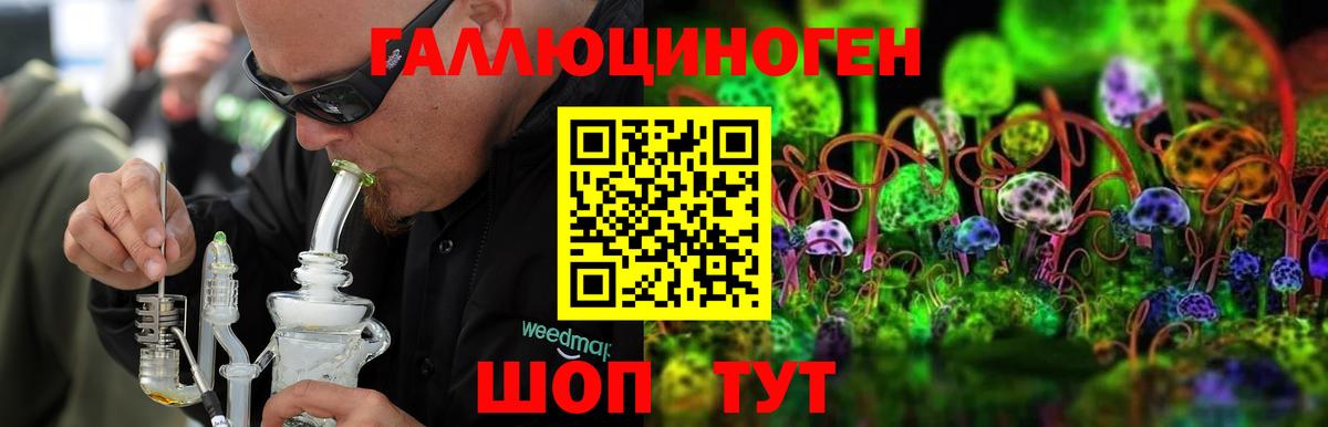 Галлюциногенные грибы Psilocybe Сердобск